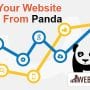 Website Free From the Clutches of Panda Algorithm