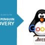Your Website Recover from Google Penguin Recovery